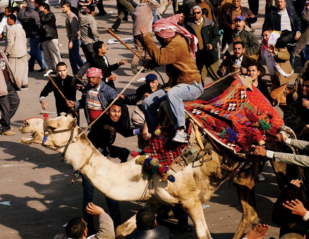 A supporter of Egyptian President Hosni Mubarak rides a camel through the melee during a clash between pro-Mubarak and anti-government protesters in Tahrir Square in Cairo on Feb. 2, 2011. The previous day, Mubarak had announced that he would not run for another term in office but would stay in power until elections later that year. Mubarak supporters and opponents clashed the next day in Tahrir Square, throwing rocks and fighting with improvised weapons.