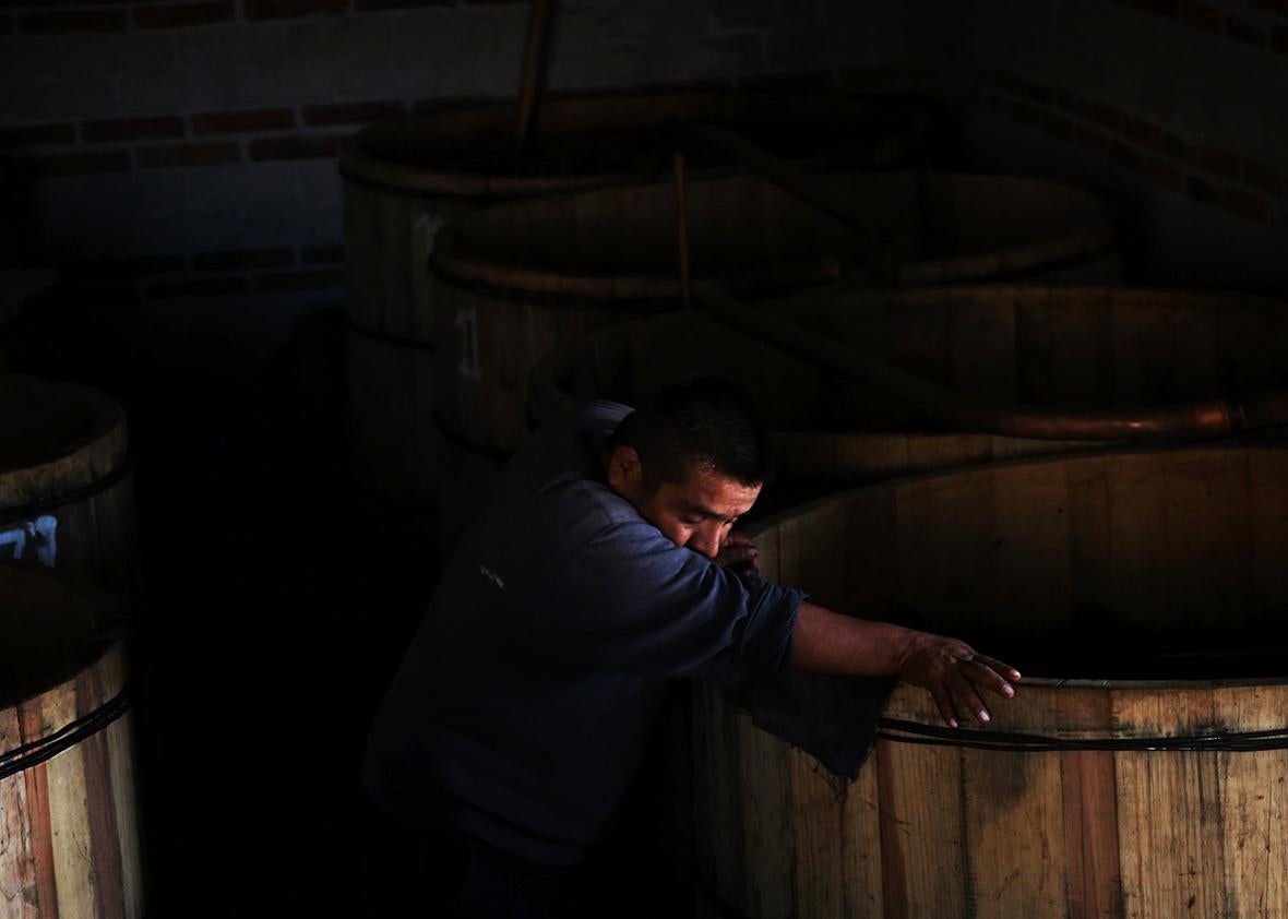 Fortunate Angeles rests against fermenting vats at his palenque in San Juan del Rio, Oaxaca, Mexico.