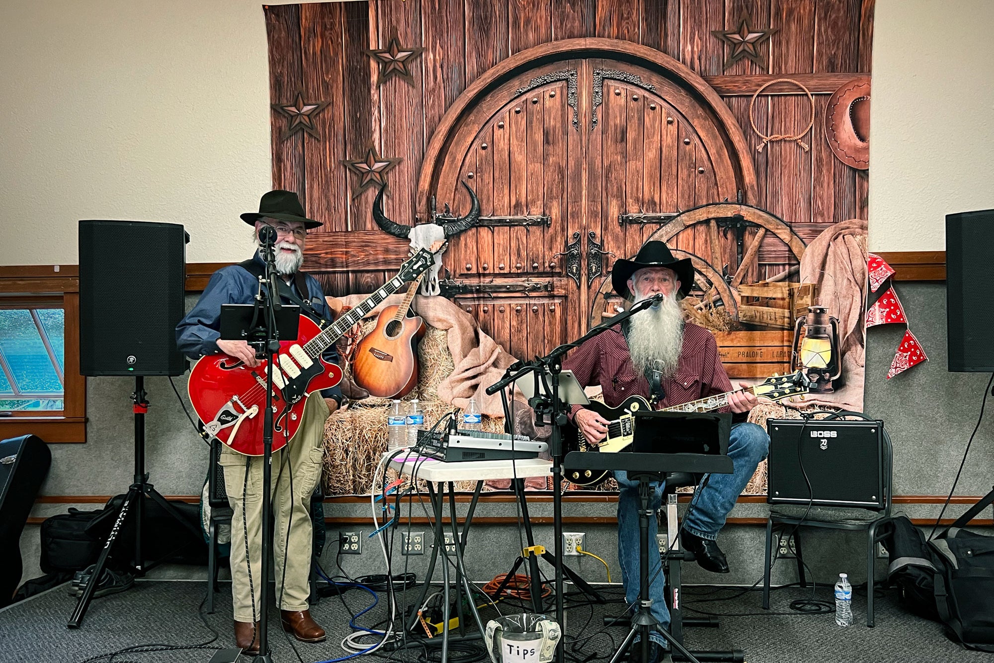 Two bearded men play guitars.