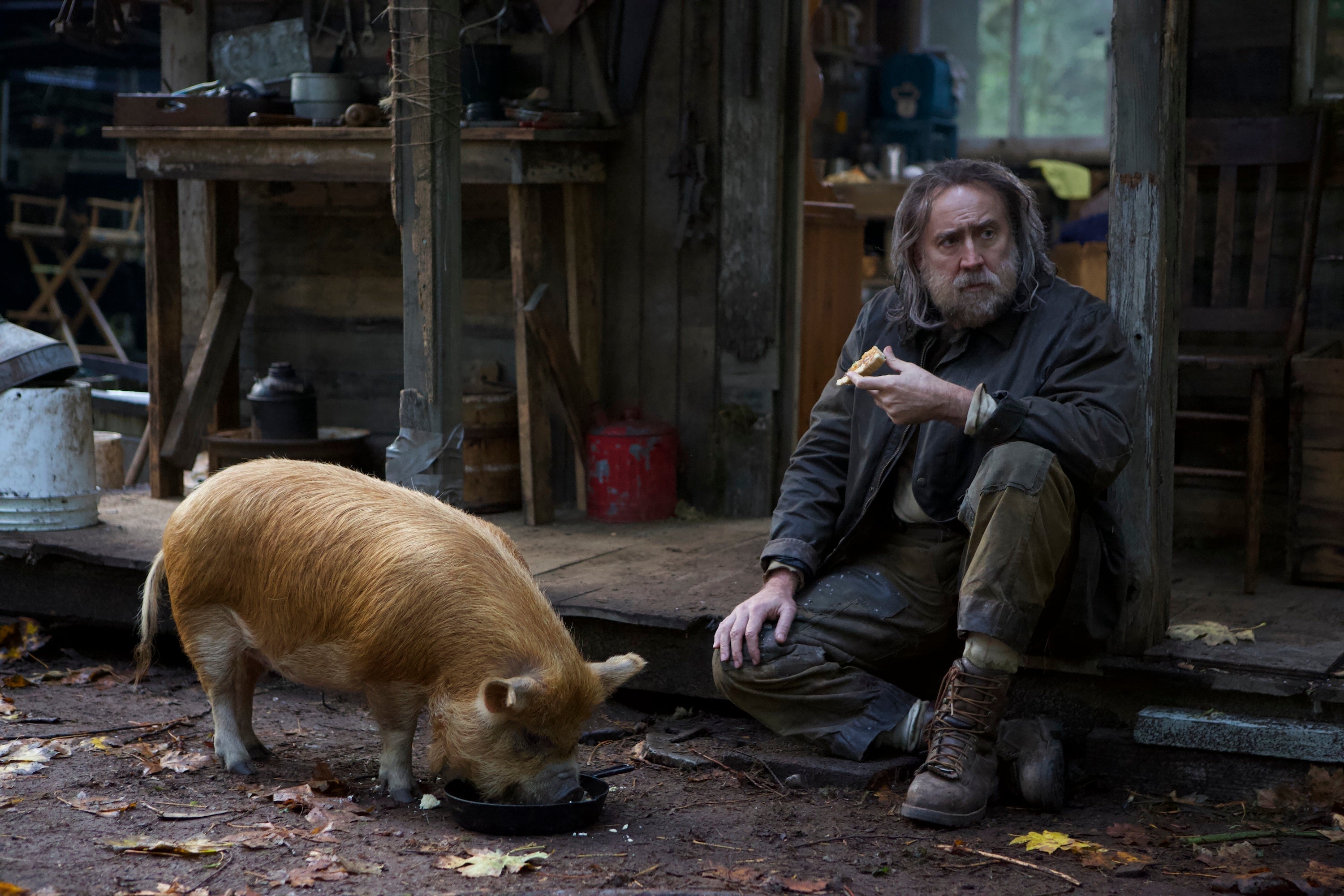 A bearded, rugged Nicolas Cage sits on a dilapidated porch near a fuzzy brown pig