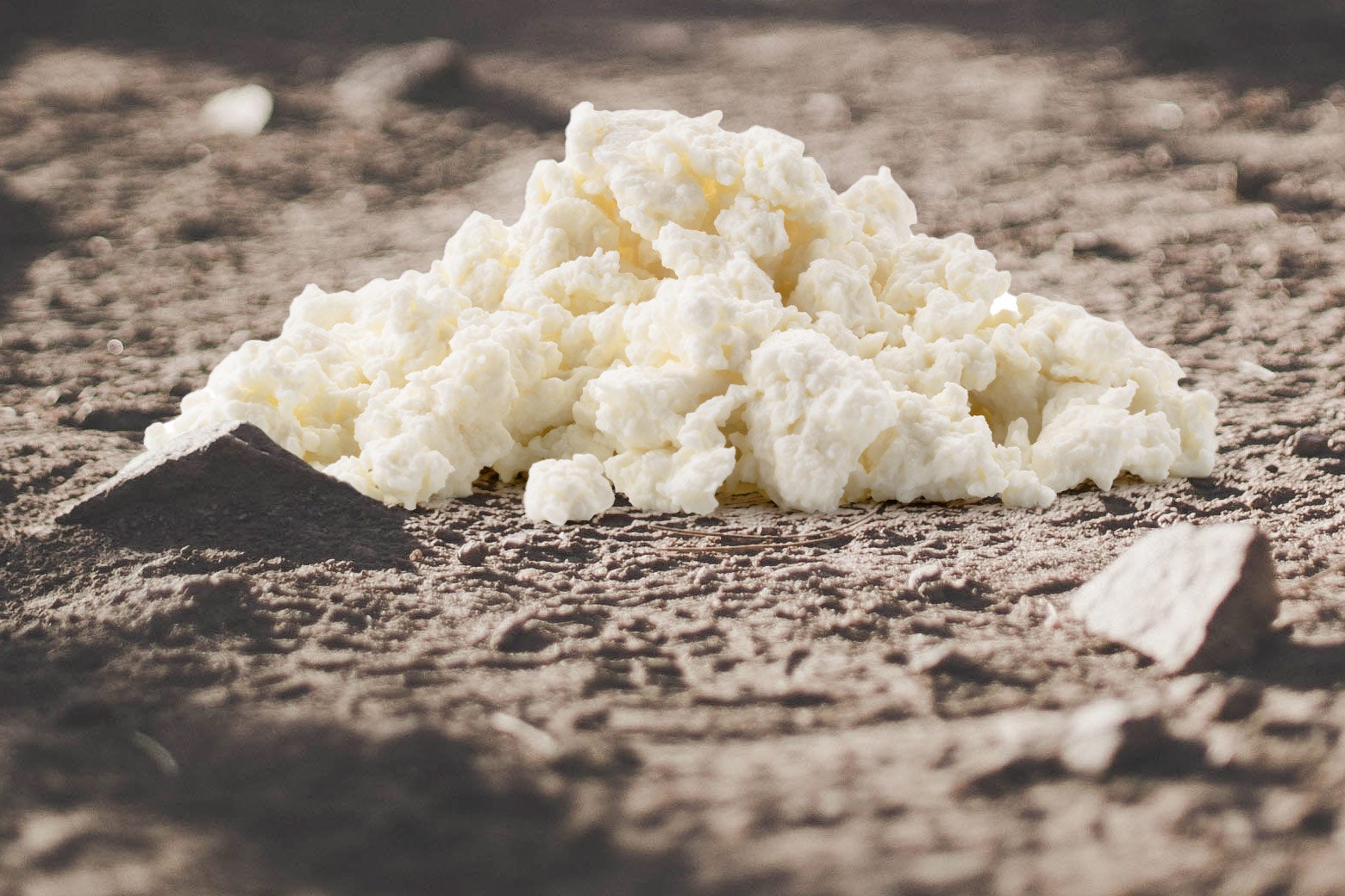Cottage cheese sits atop dirt.