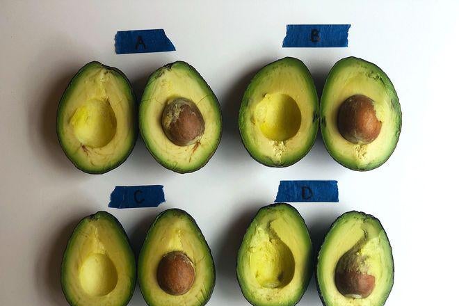 Four halved avocados labelled A, B, C, and D at various stages of ripeness on a table.