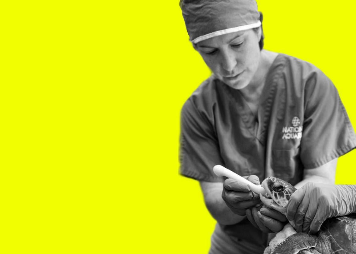 How does Leigh Clayton, the National Aquarium’s director of animal