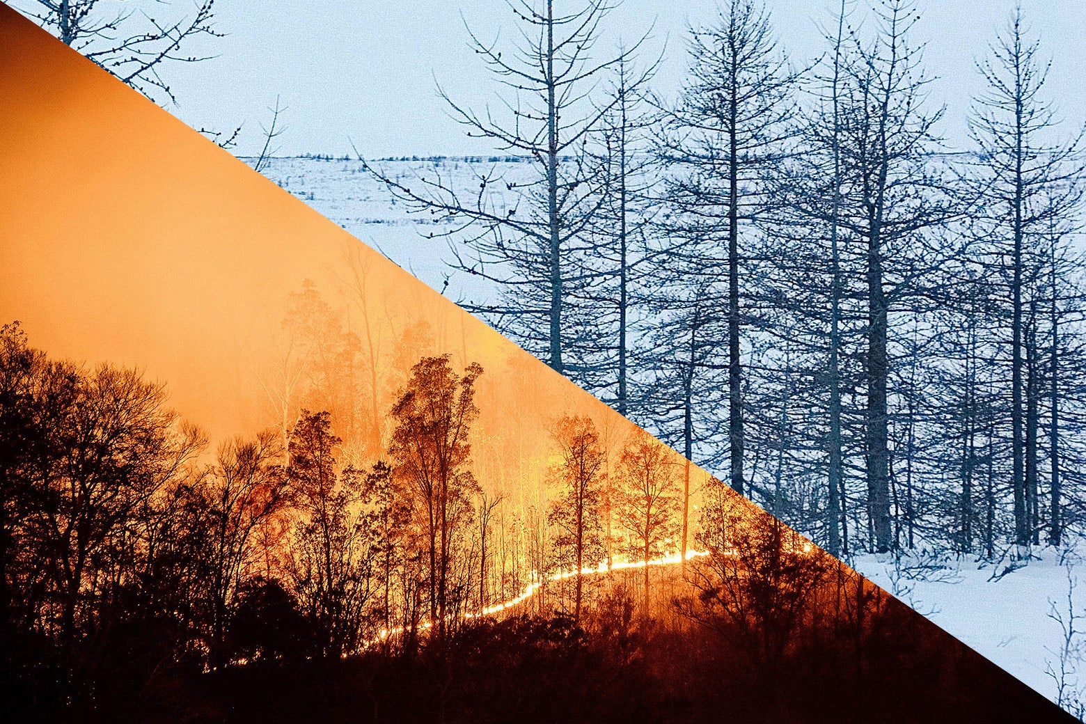 A split-screen of a wildfire and a snowy woods. The forecast app Dark Sky is predicting wild weather in the coming days.