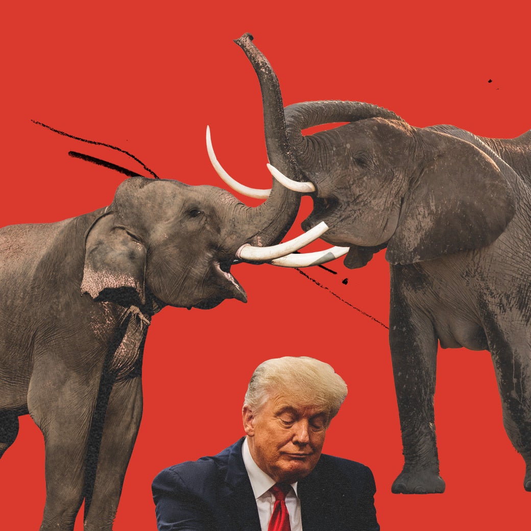 A collage of Donald Trump below two fighting elephants.