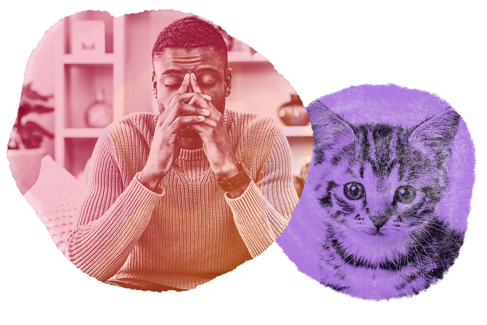 Your Boyfriend Is Overwhelmed After Adopting A Cat. Should You Offer Kitty Care? Your Boyfriend Is Overwhelmed After Adopting A Cat. Should You Offer Kitty Care?
