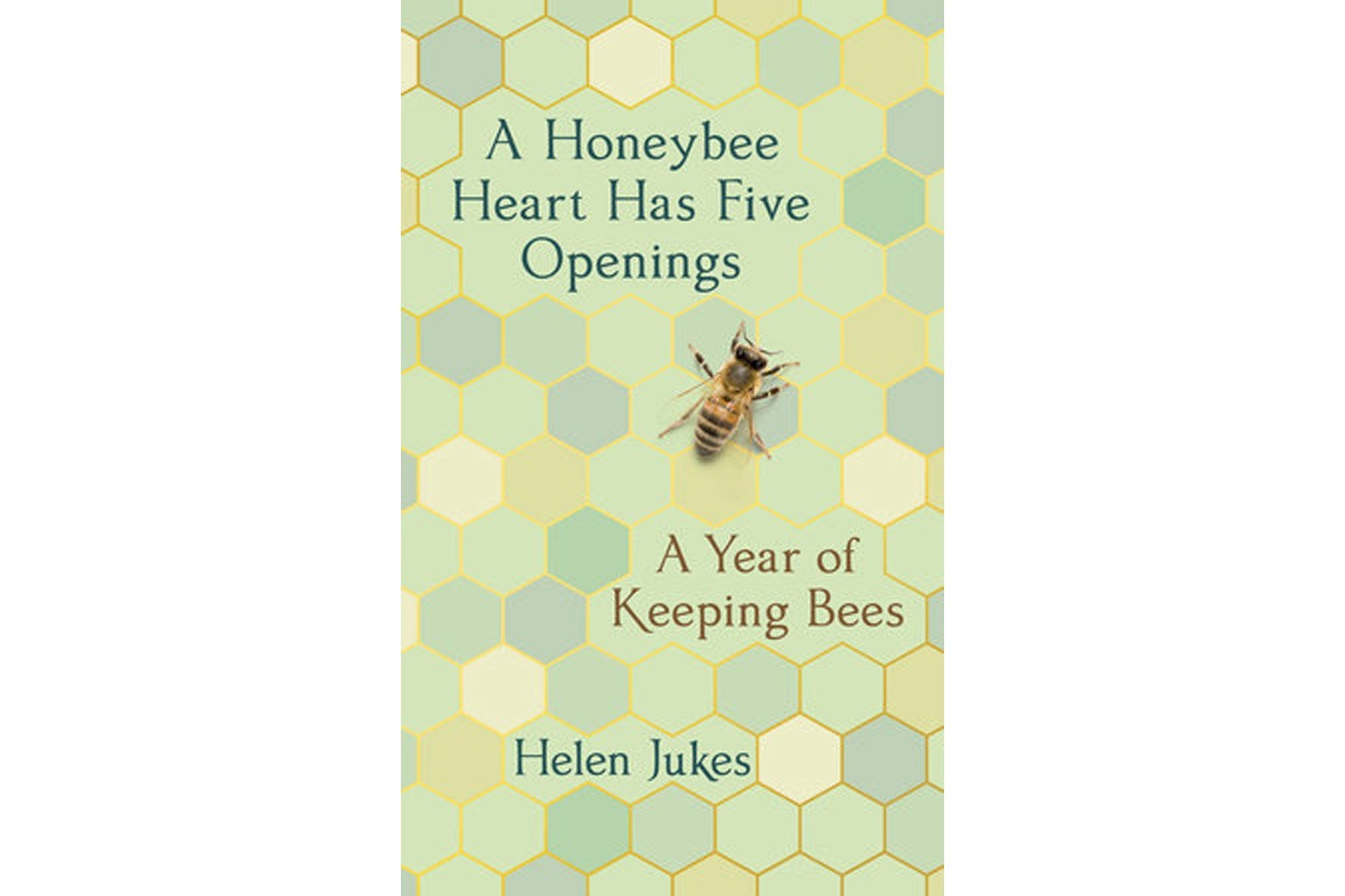 The cover of A Honeybee Heart Has Five Openings.