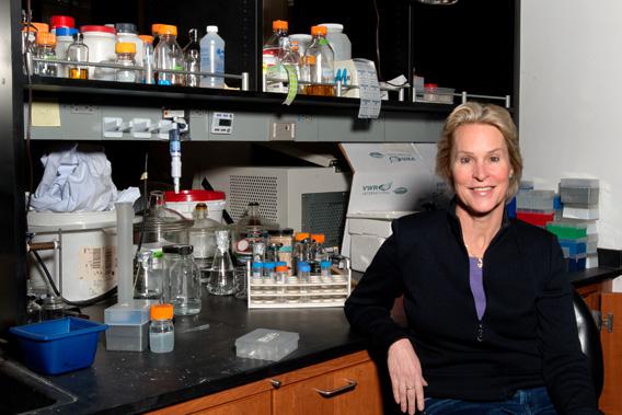 Frances Arnold in her laboratory.