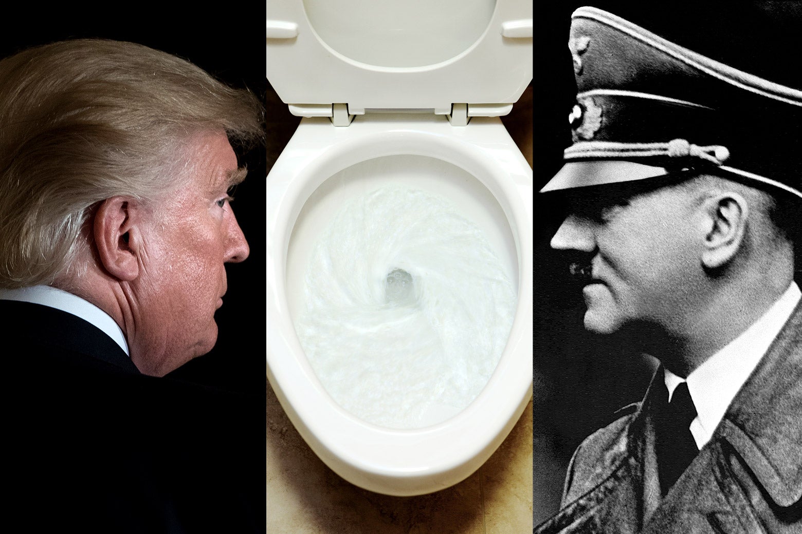 Dramatic head shot images of Trump and Hitler are positioned so that they are both staring at a gleaming, white, flushing toilet at the center of the image.