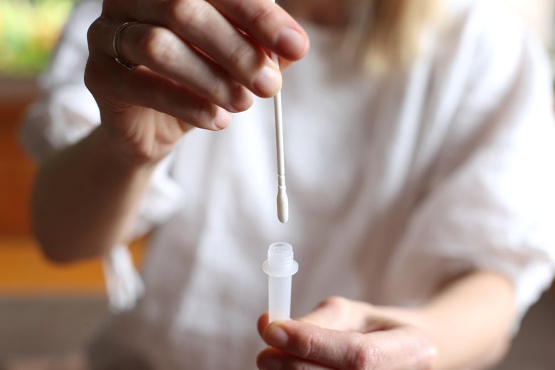A white woman's hands hold an at-home COVID test, dipping a cotton swab into a small plastic vial.