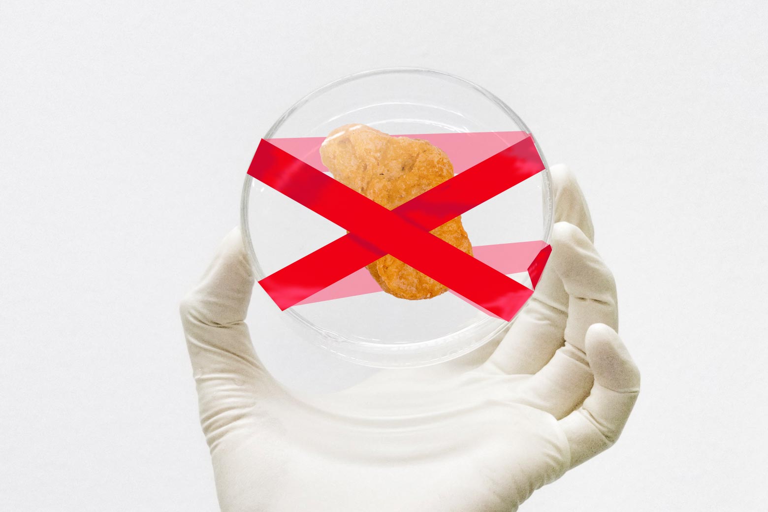 Image of a gloved hand holding a Petri dish with a chicken nugget inside covered by red tape.