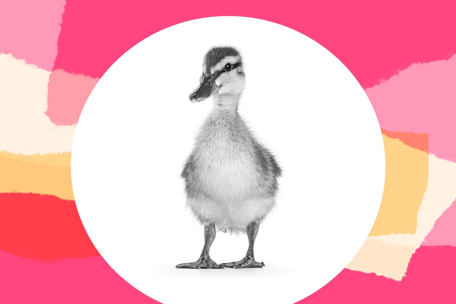 My Husband Has the "Perfect" Idea to Make Our Daughter's Easter Unforgettable. It's My Nightmare.