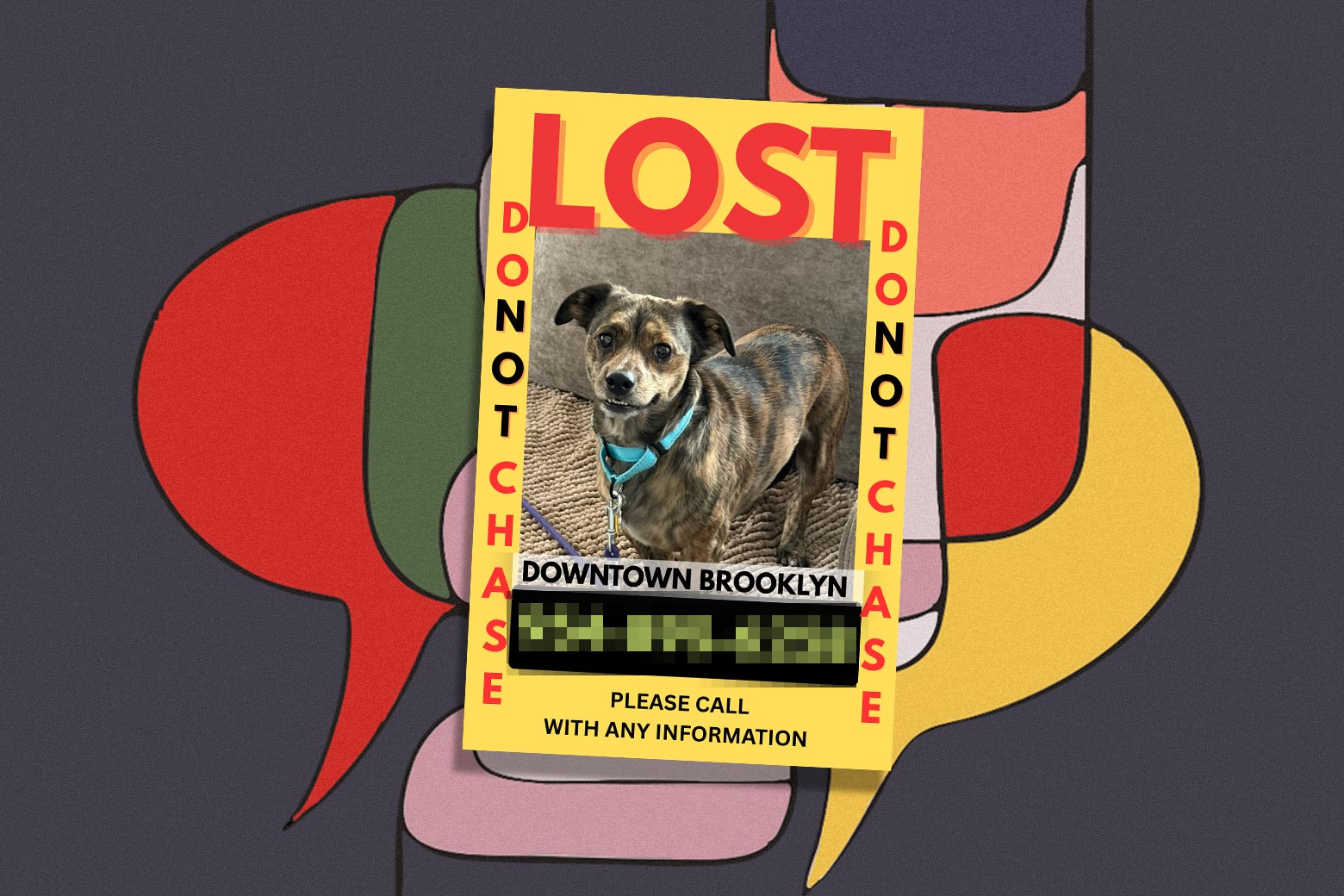 The Pet Detective The Pet Detective
