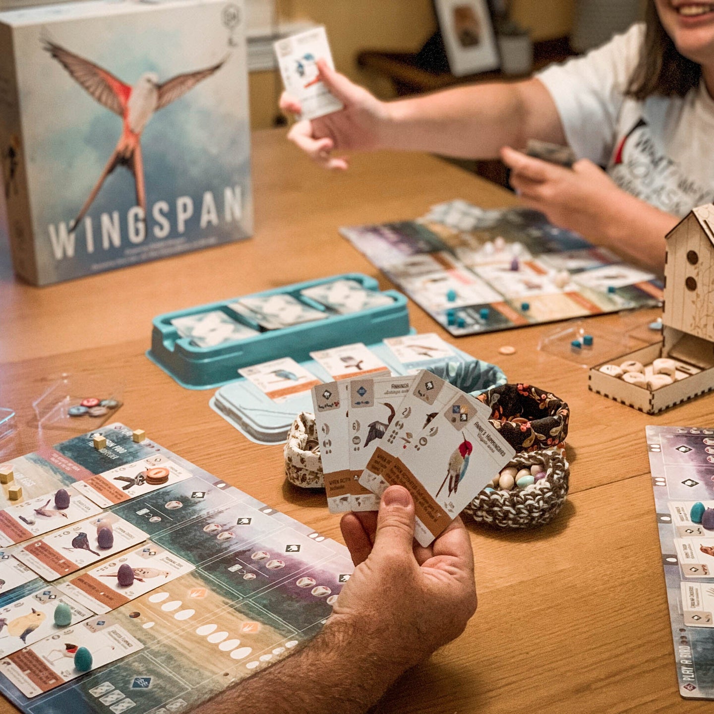 Wingspan Elizabeth Hargrave’s board game is changing how we play.