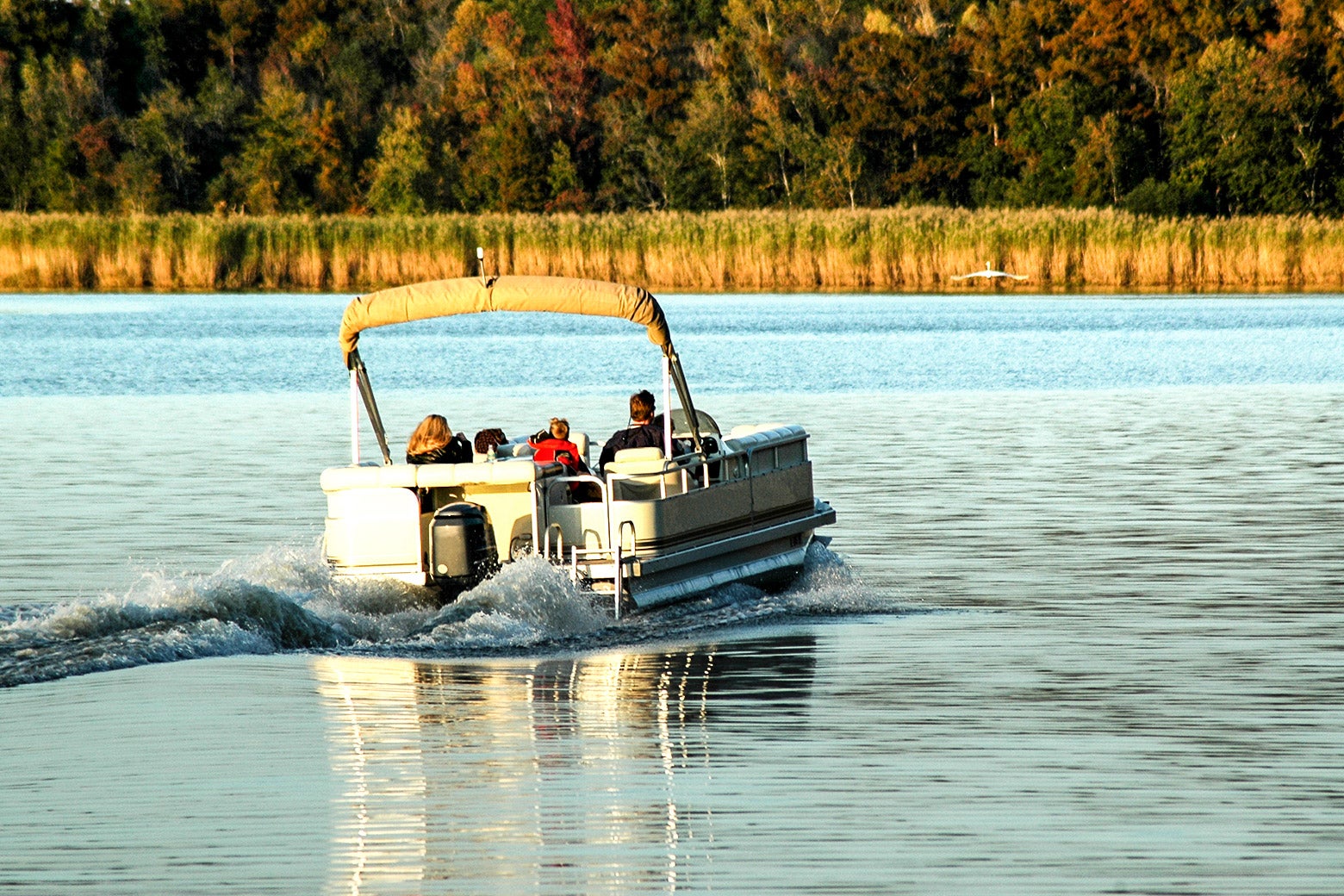 A pontoon boat with a handful of passengers travels in a lake, with trees in autumnal colors in the background.