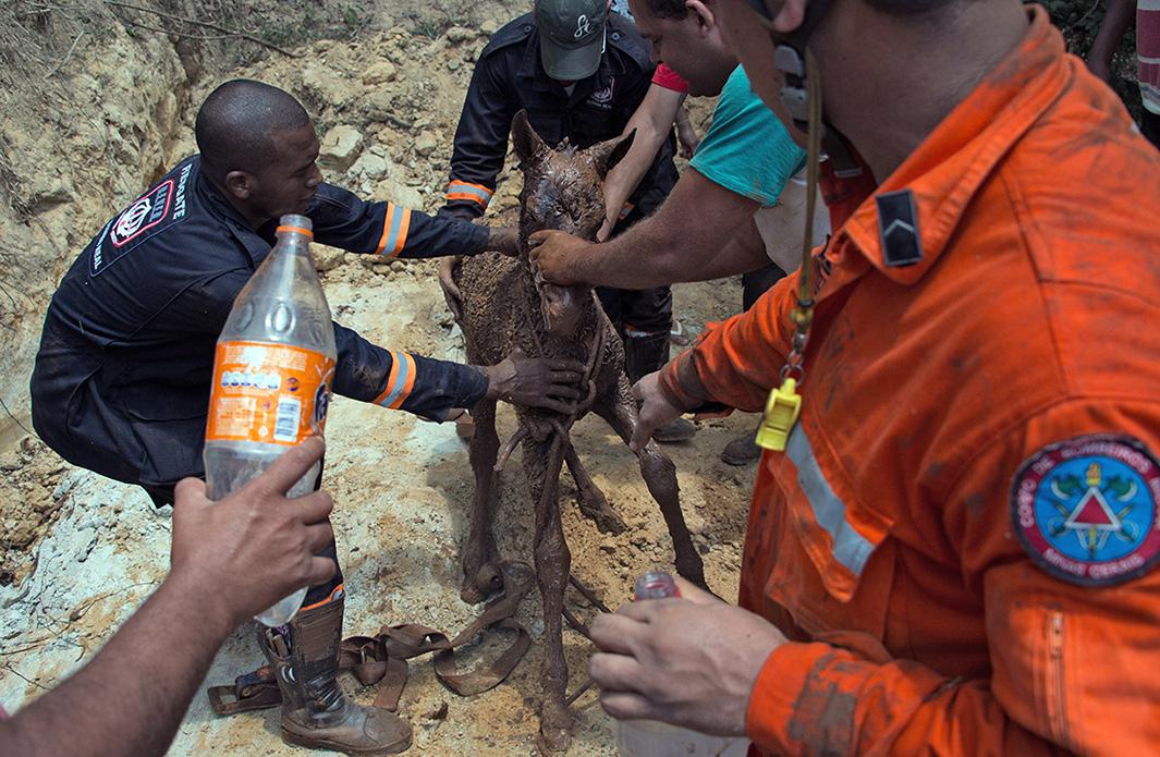 brazil's mining dam disaster photos.