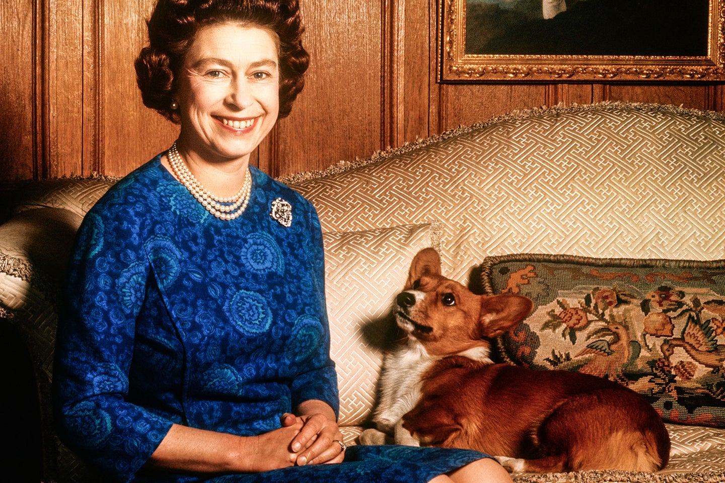 Queen Elizabeth dead: What will really happen to her corgis?
