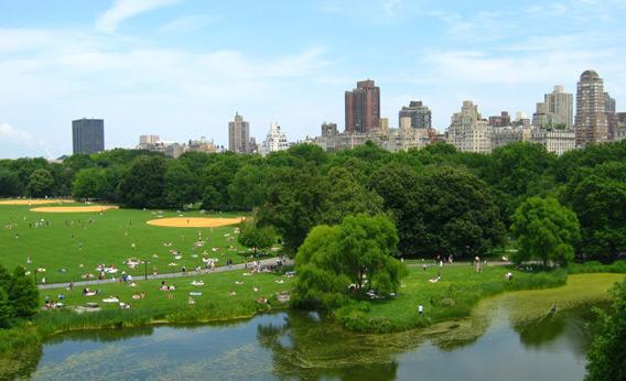 The Great Lawn, Central Park 