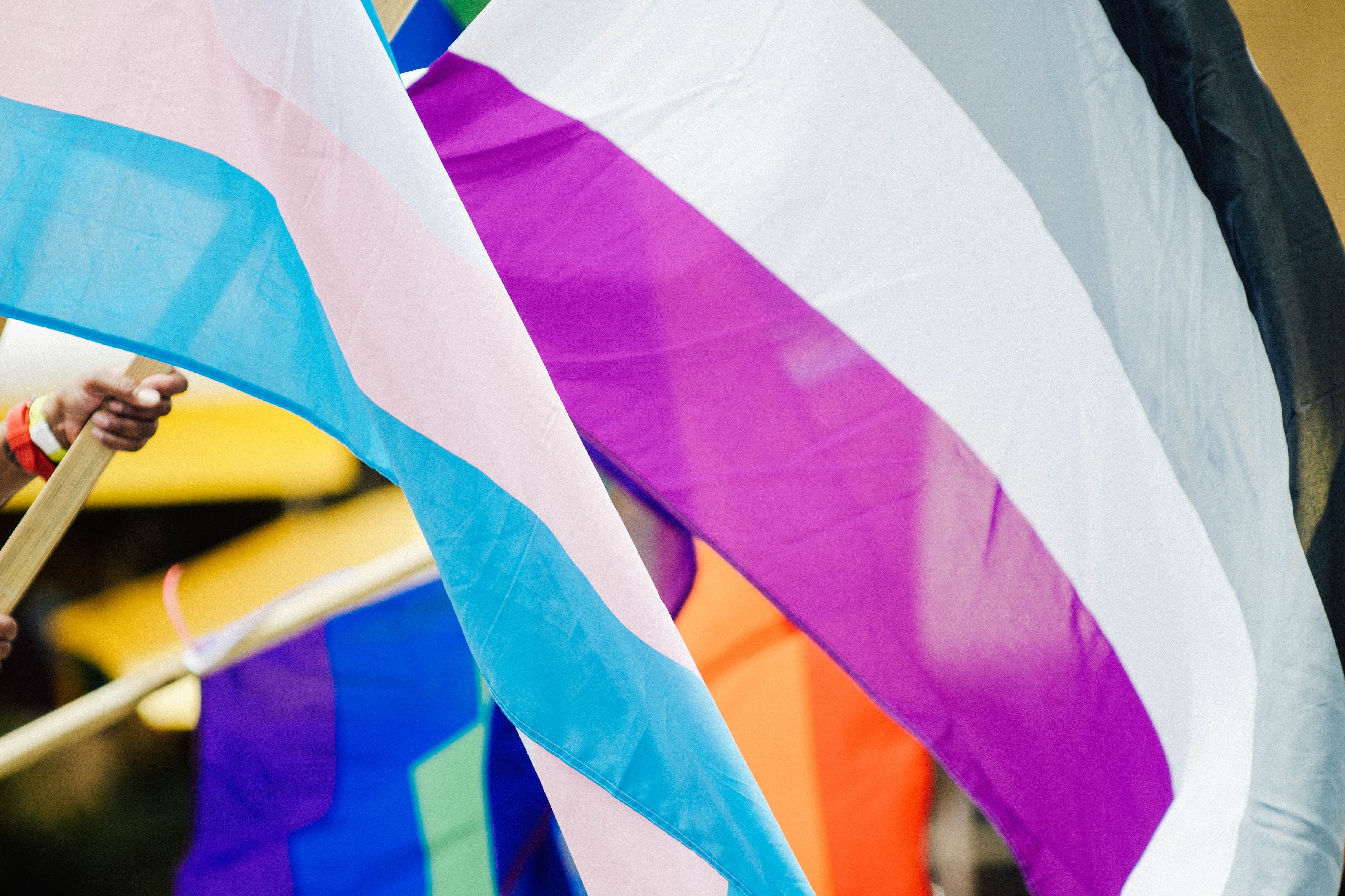 An asexuality pride flag along with other flags.