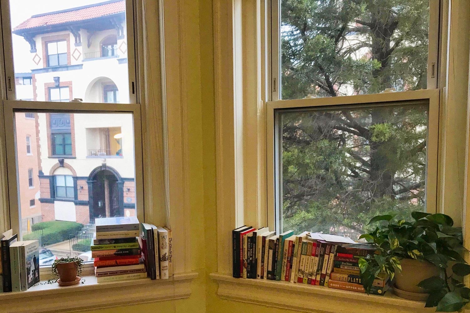 A windowsill covered in books.
