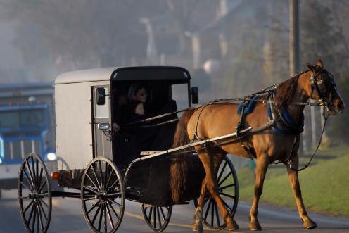 A woman and child are in a horse-drawn buggy followed by a large truck.
