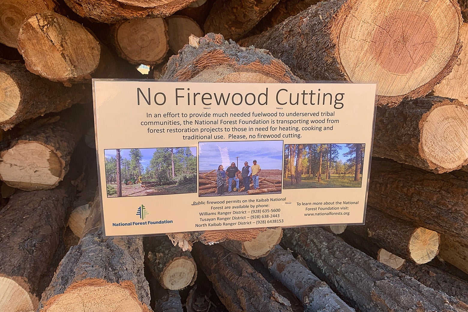 A National Forest Foundation sign that says "No Firewood Cutting," placed on a pile of cut logs