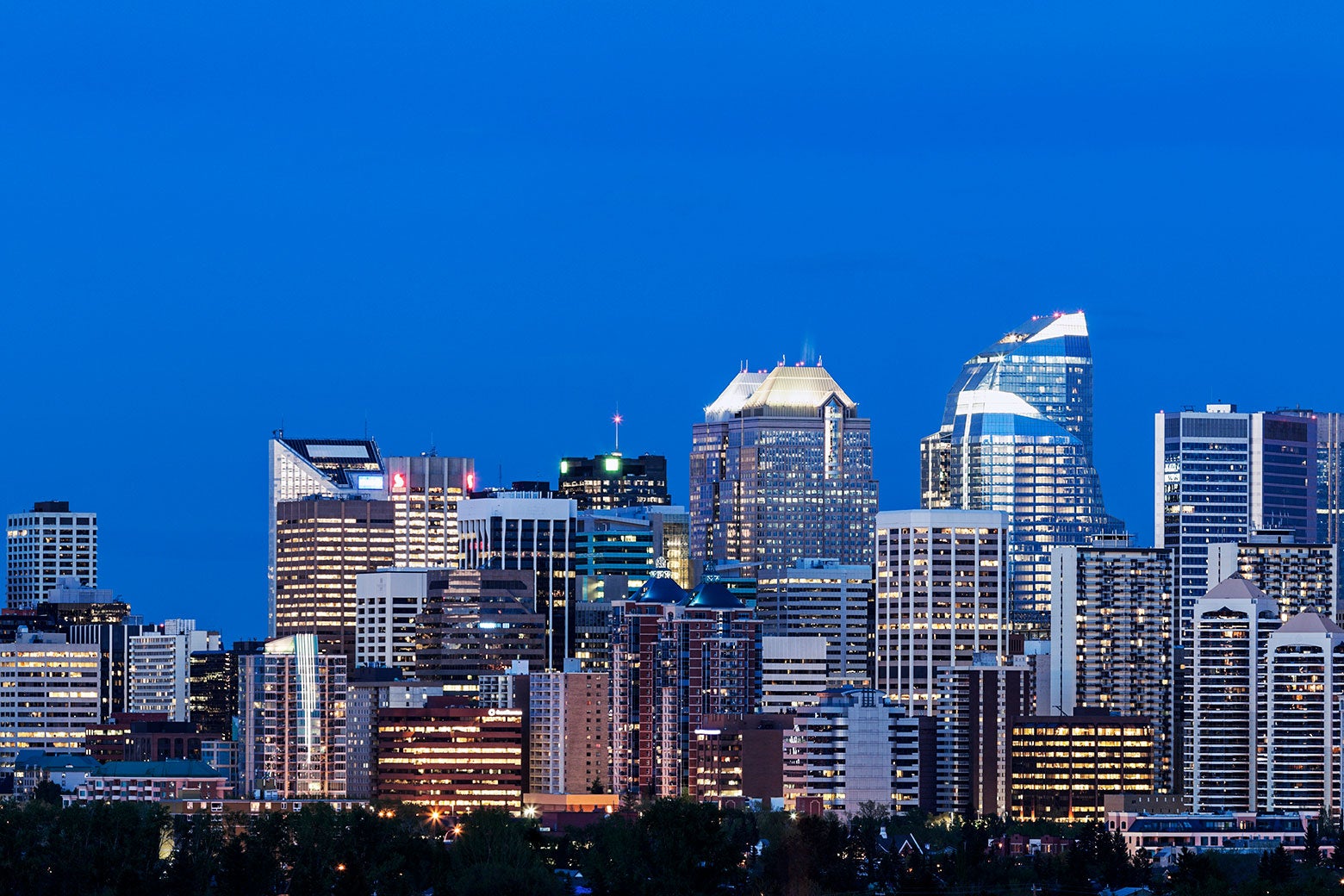 The Calgary skyline lit up at twilight
