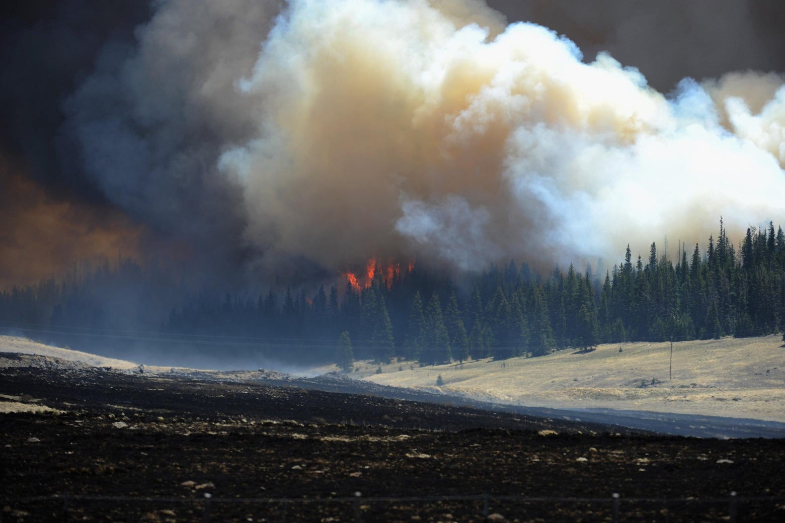 2023 is the hottest summer ever but the coolest summer to come.