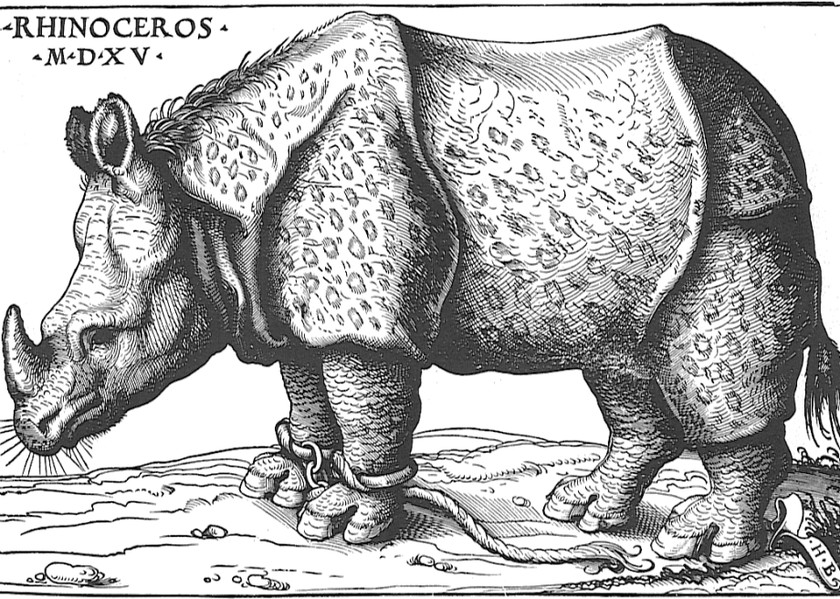 Pope Leo X Buried His Pet Elephant Hanno Under The Vatican