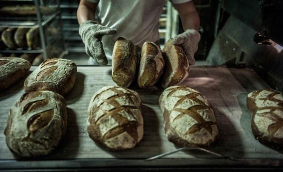 Gluten-free diet: Distinguishing celiac disease, wheat allergy, and