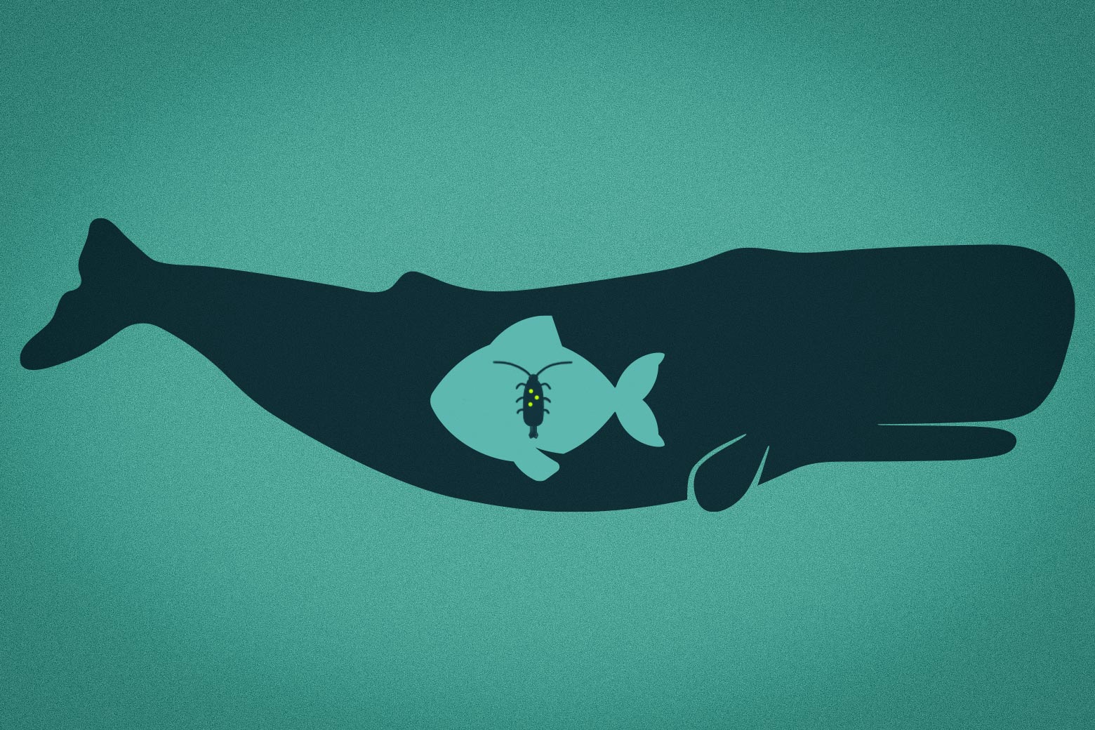 How microplastic kills plankton.