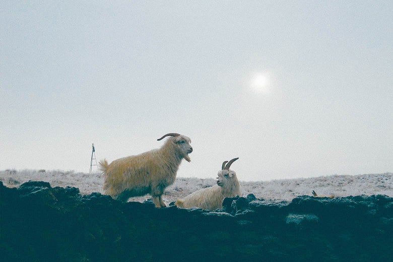 Living the Good Life in a Hole in the Ground Living the Good Life in a Hole in the Ground