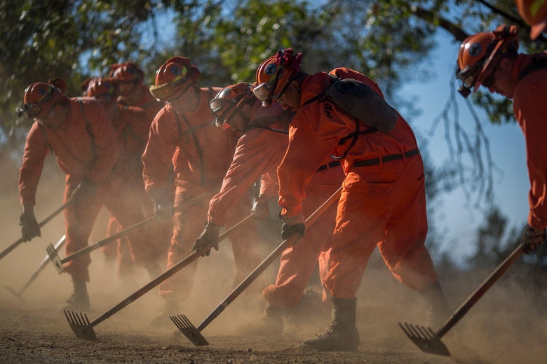 A line of inmate firefighters in jumpsuits strike the ground with hoes.