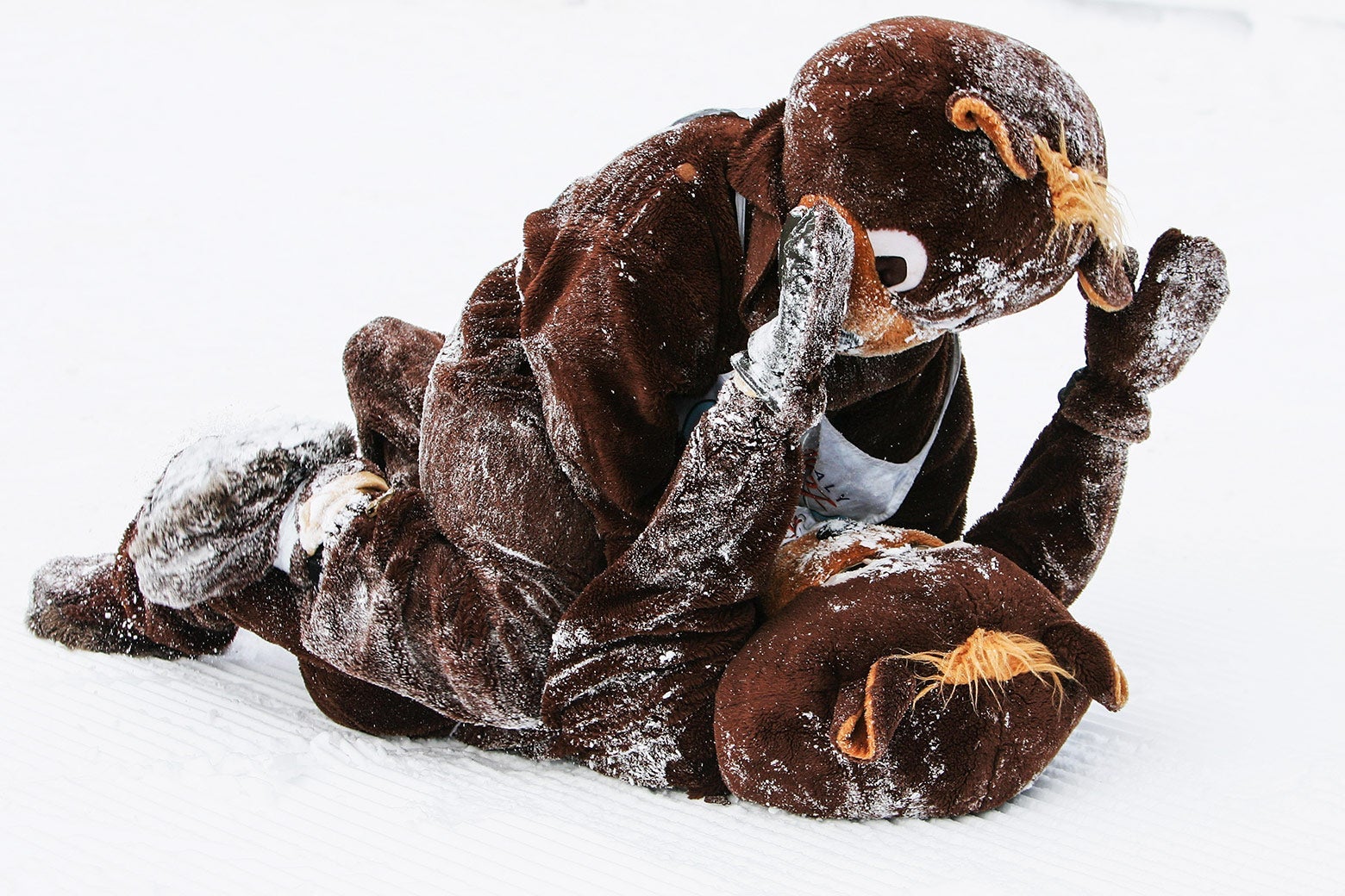 The Best Photo We Didn&rsquo;t Use This Week: Two Tussling Bears