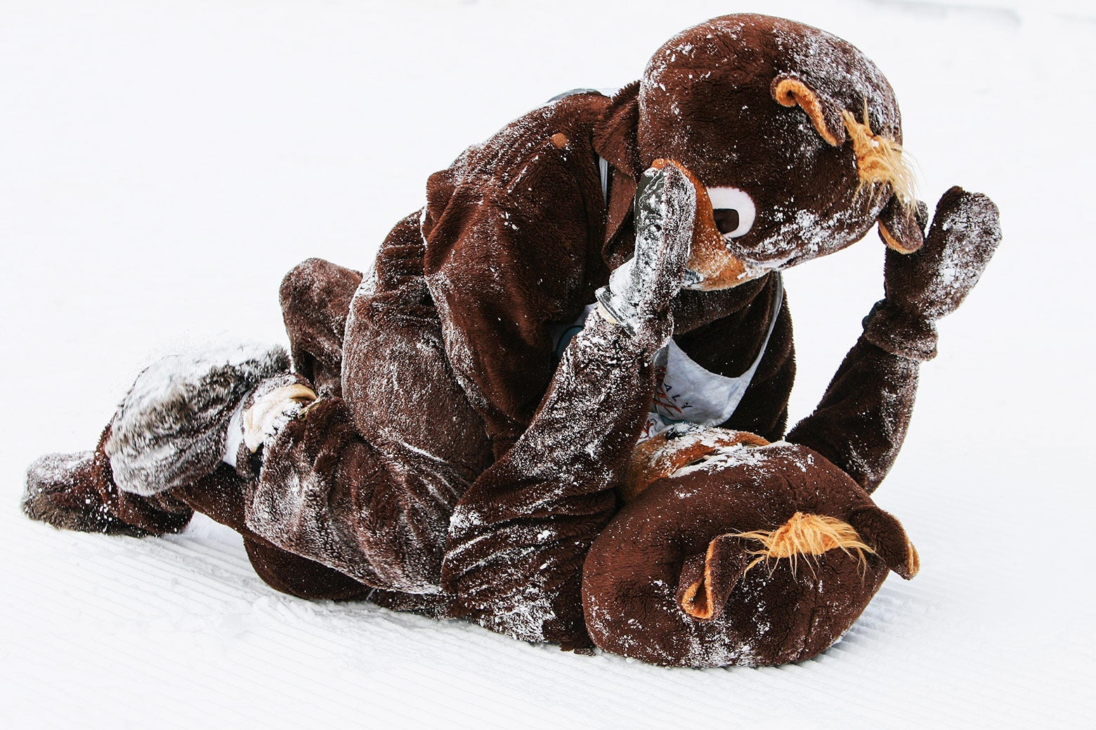 Two bear mascots wrestling in the snow.