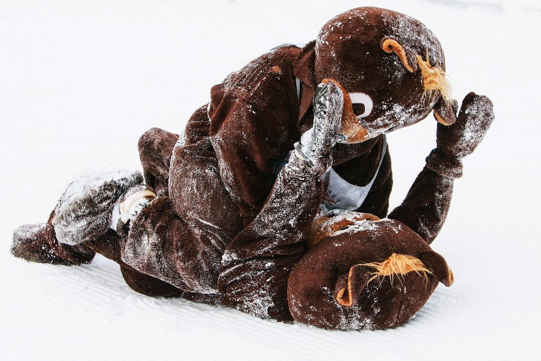 The Best Photo We Didn’t Use This Week: Two Tussling Bears The Best Photo We Didn’t Use This Week: Two Tussling Bears