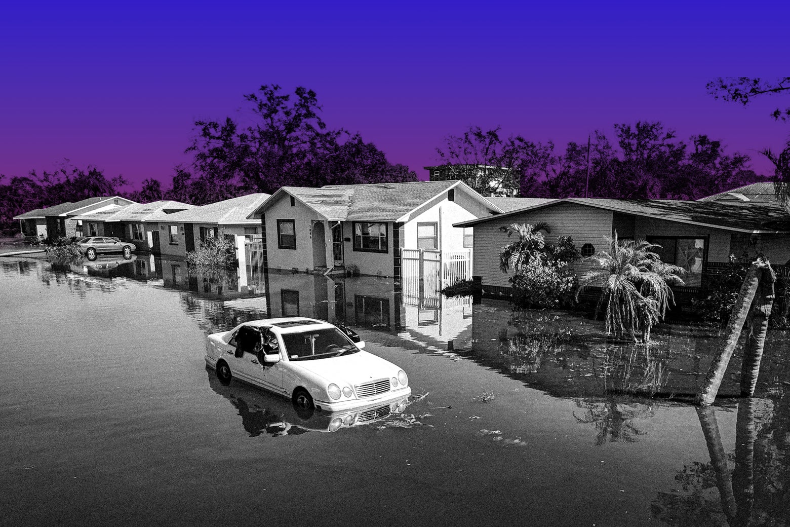 An Extremely Online Hurricane Season