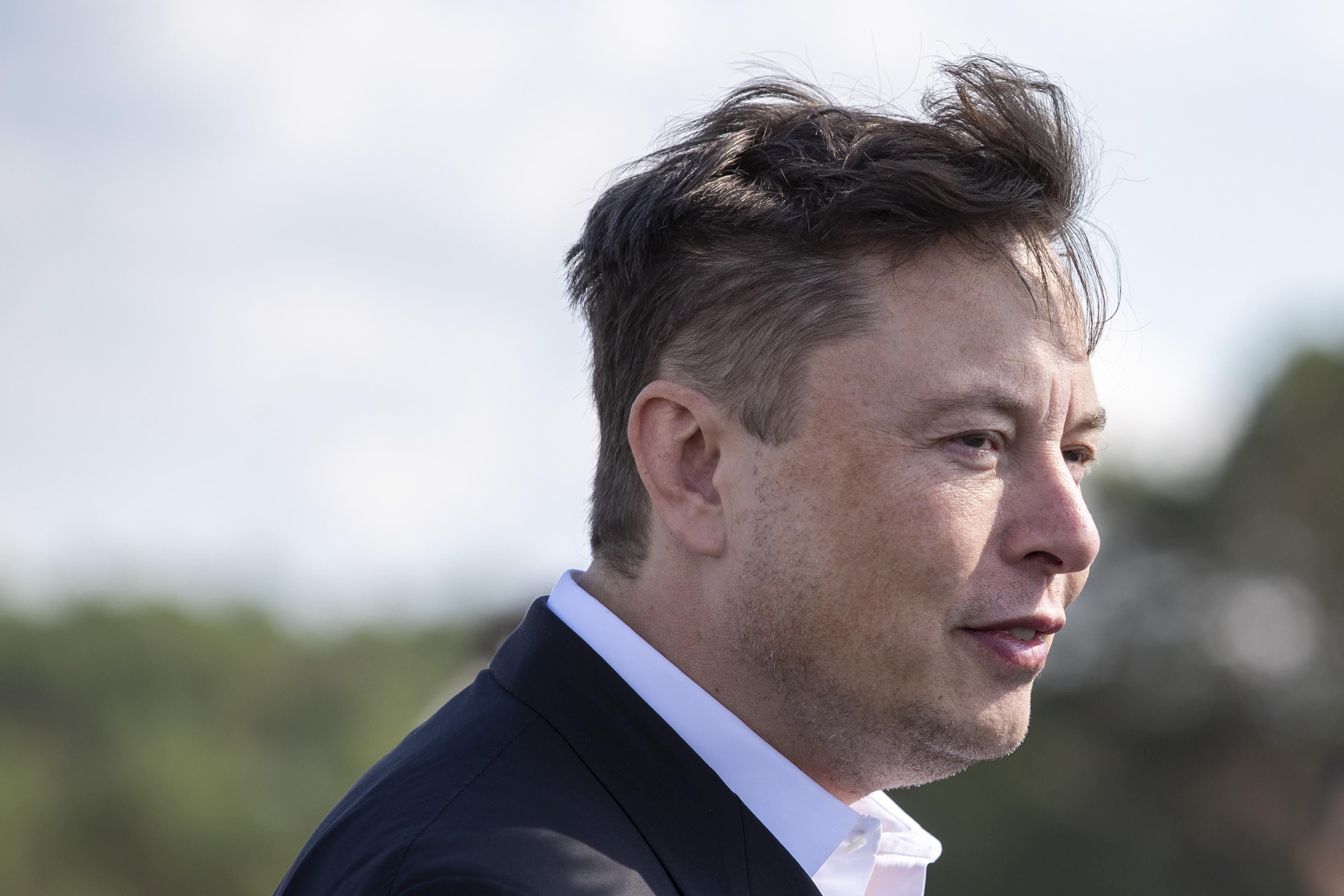 A side profile of Elon Musk. 