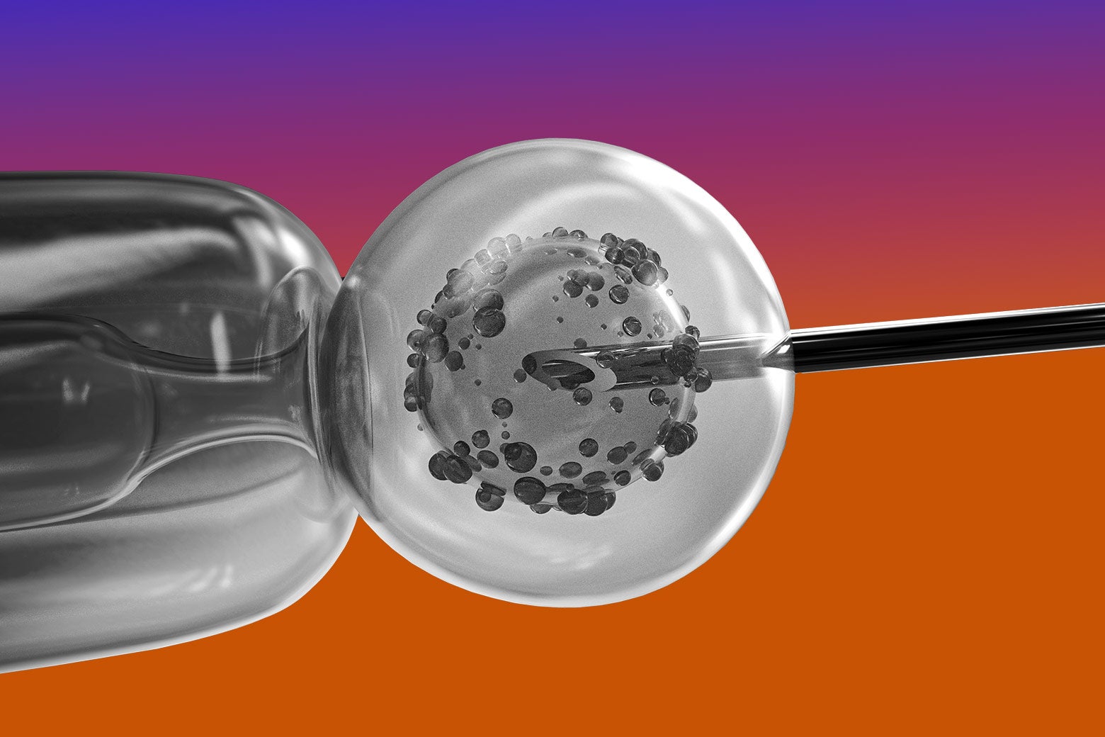 Would You Choose Your Child&rsquo;s Sex?