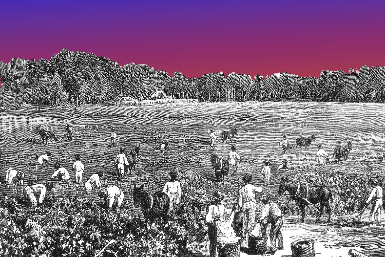 What Kids Aren&rsquo;t Learning About US History