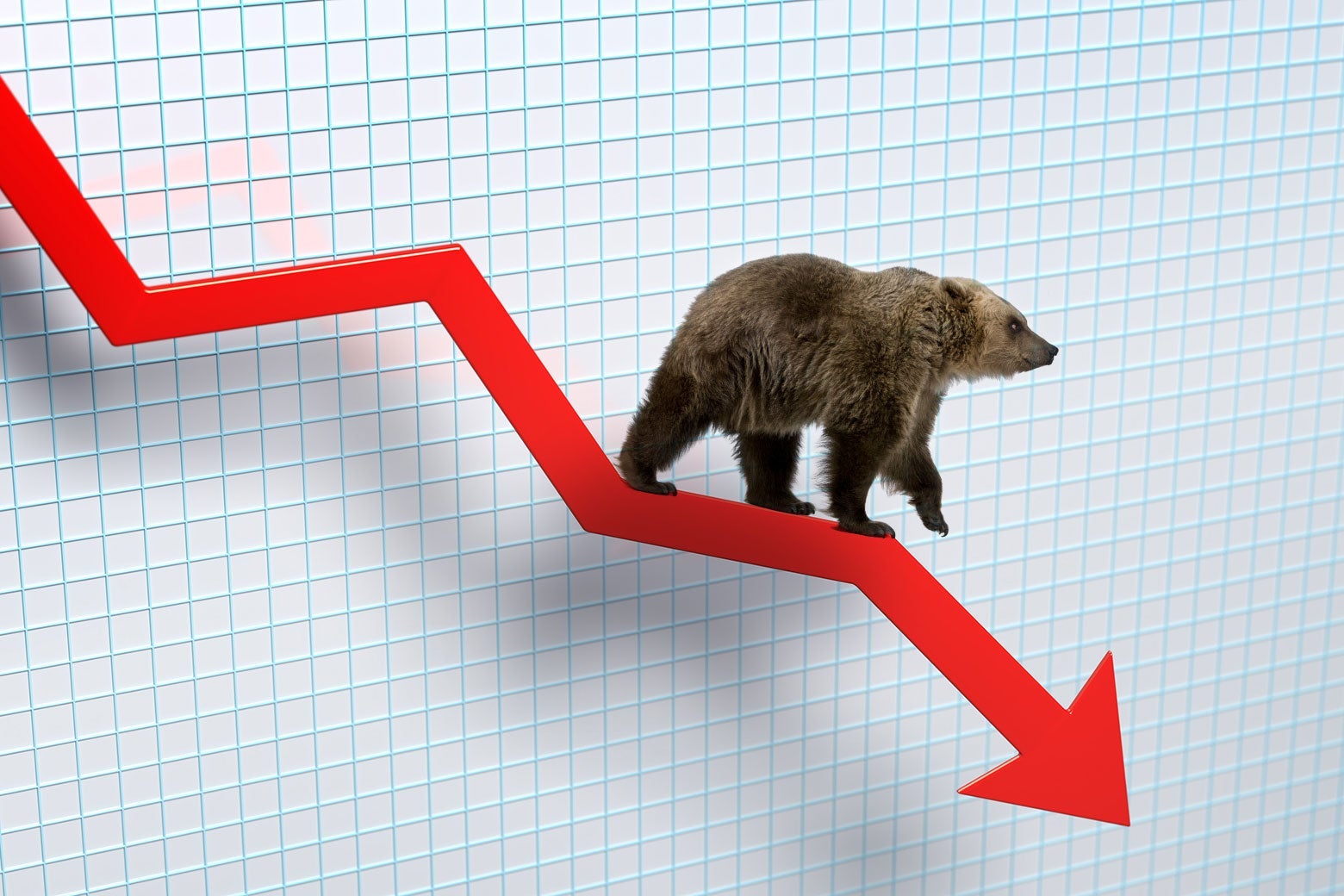 A bear walks on a red, downward-sloping arrow on a stock chart.