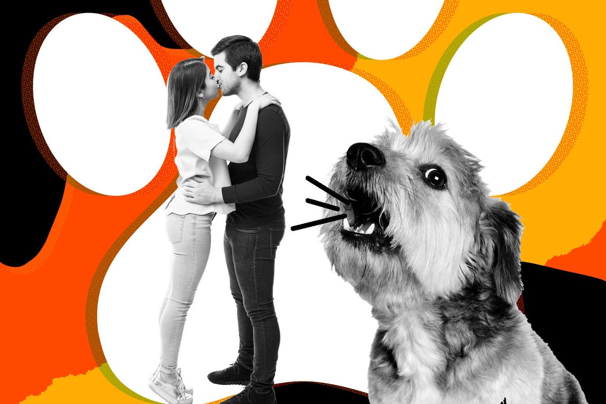should you kiss your dog