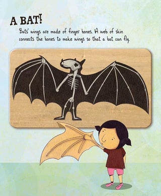 Bone by Bone: The picture book that will show your kid how evolution works.