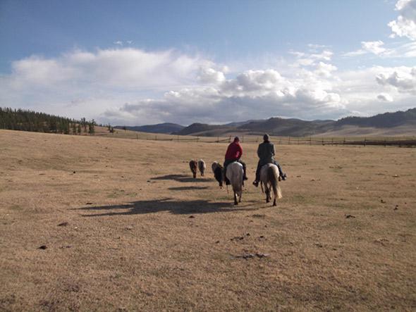 Riding horses in the Mongolian countryside
