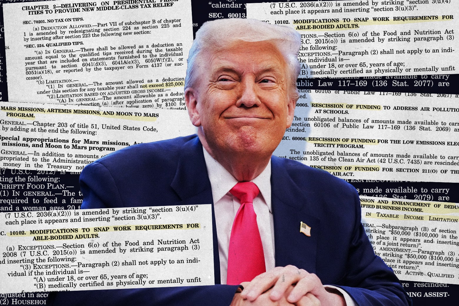 Donald Trump is smirking surrounded by passages of the One Big Beautiful Bill Act.