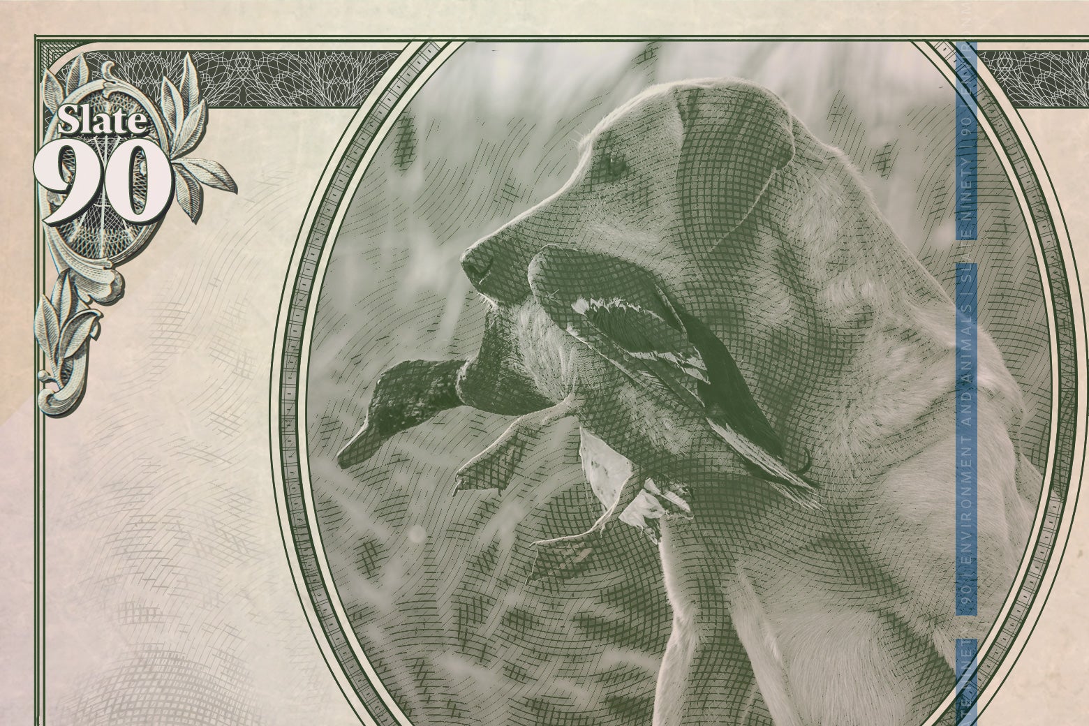 Paper currency showing a hunting dog with a duck in its mouth.