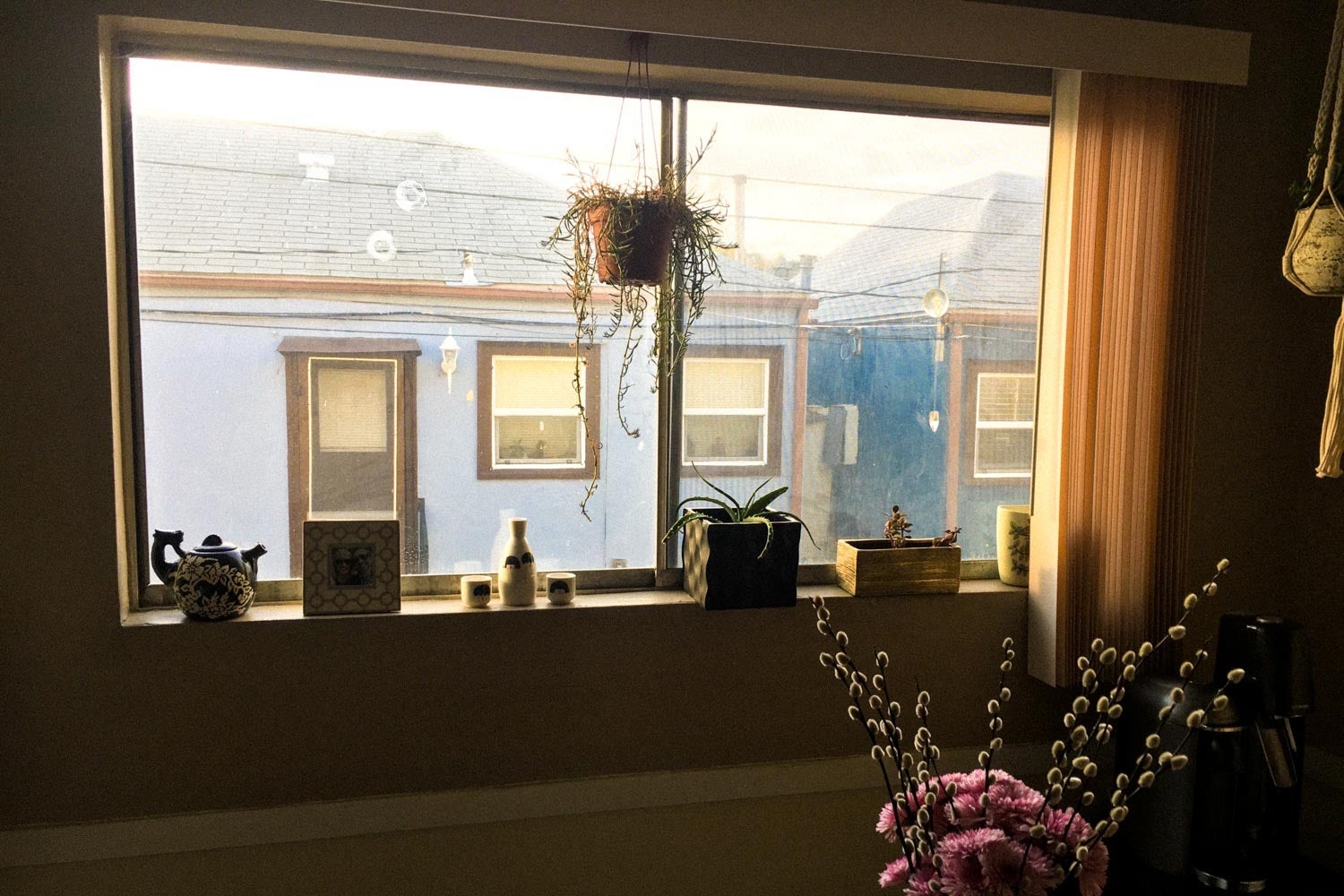 A window facing two blue homes brings sunlight onto a vase of flowers indoors.