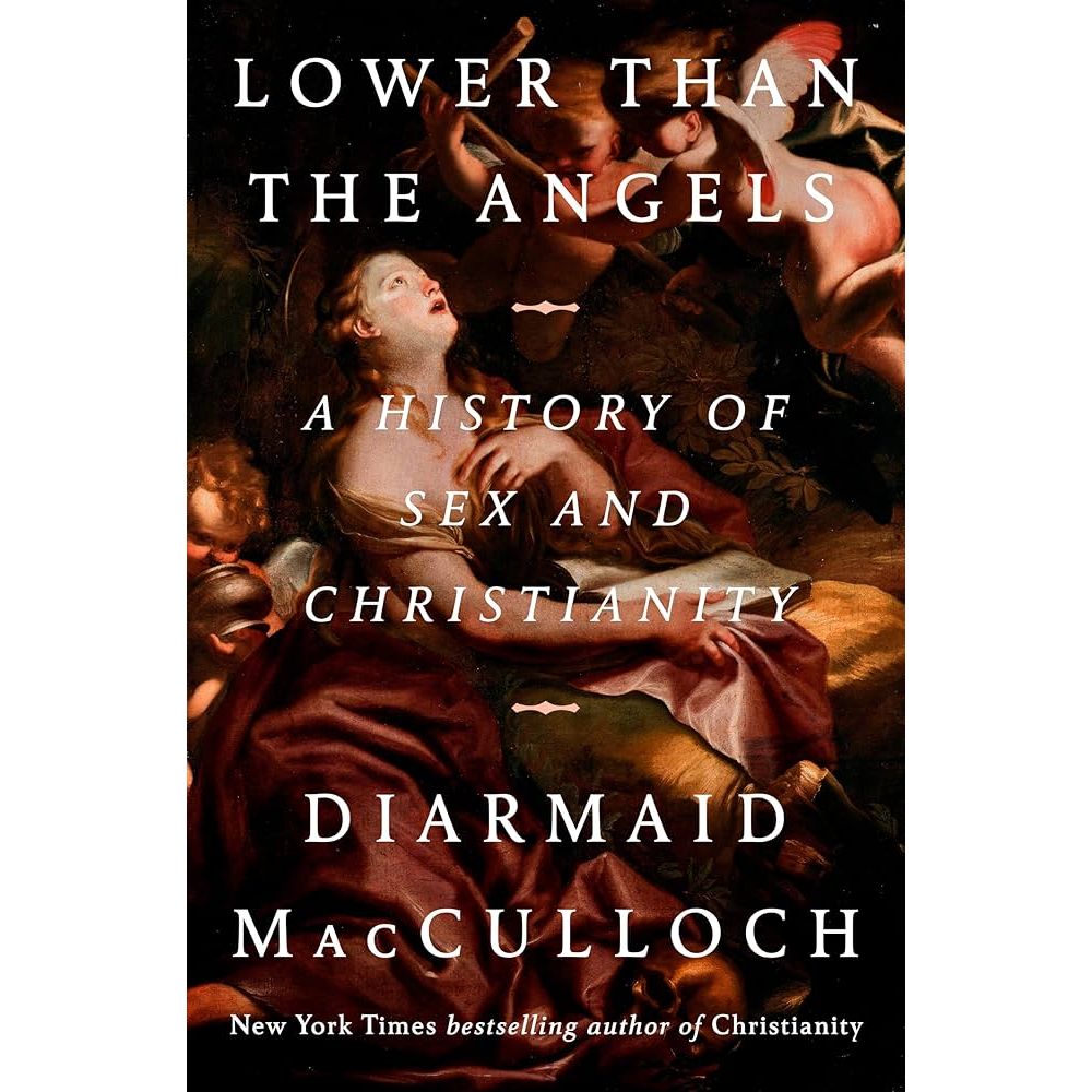 Book cover of Lower Than the Angels: A History of Sex and Christianity by Diarmaid MacCulloch.