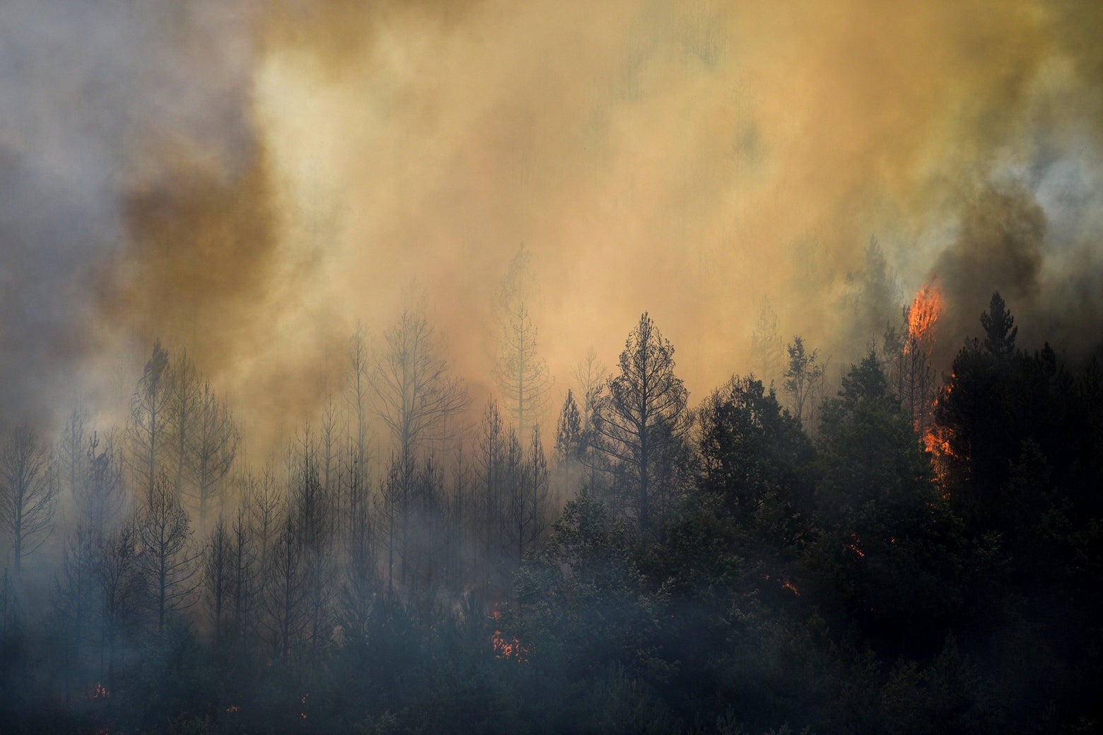 There’s a Silver Lining in the Extremely Bleak New Climate Report