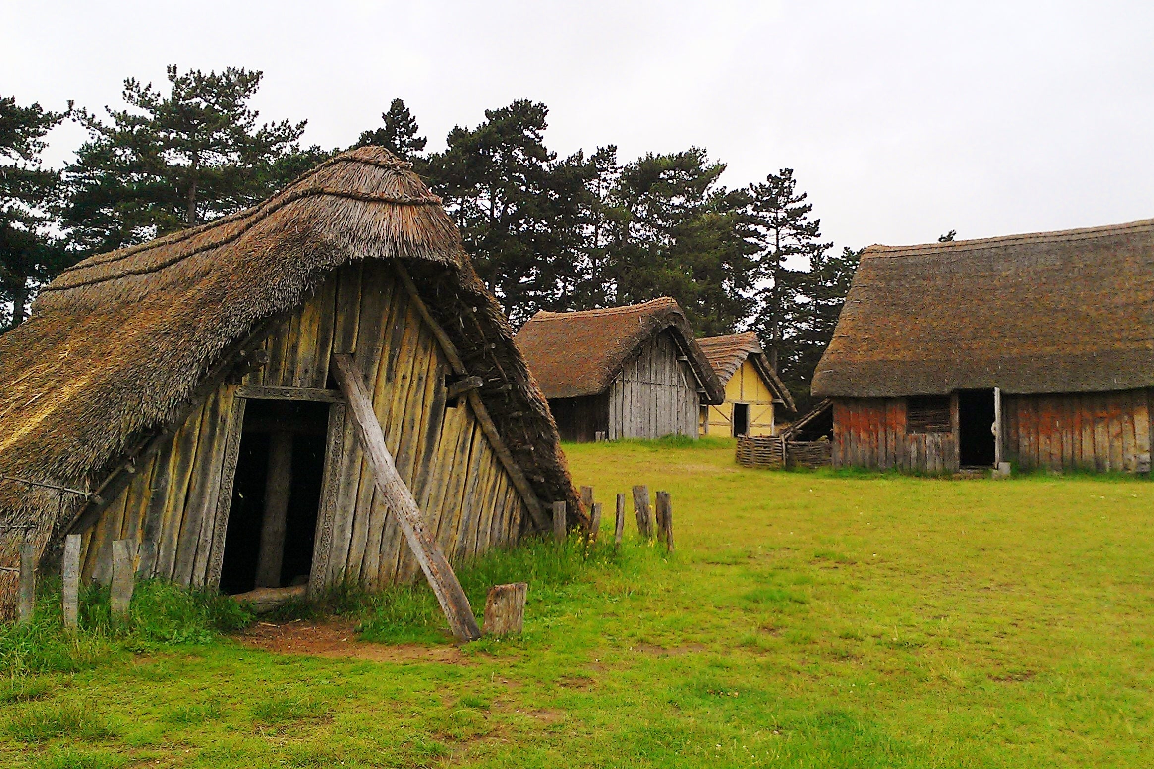 Four dumpy-looking thatched-roof buildings against a gray sky in a wet field.